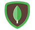 MongoDB